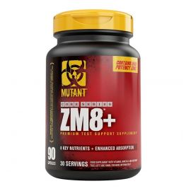 ZM8+ ZM8+